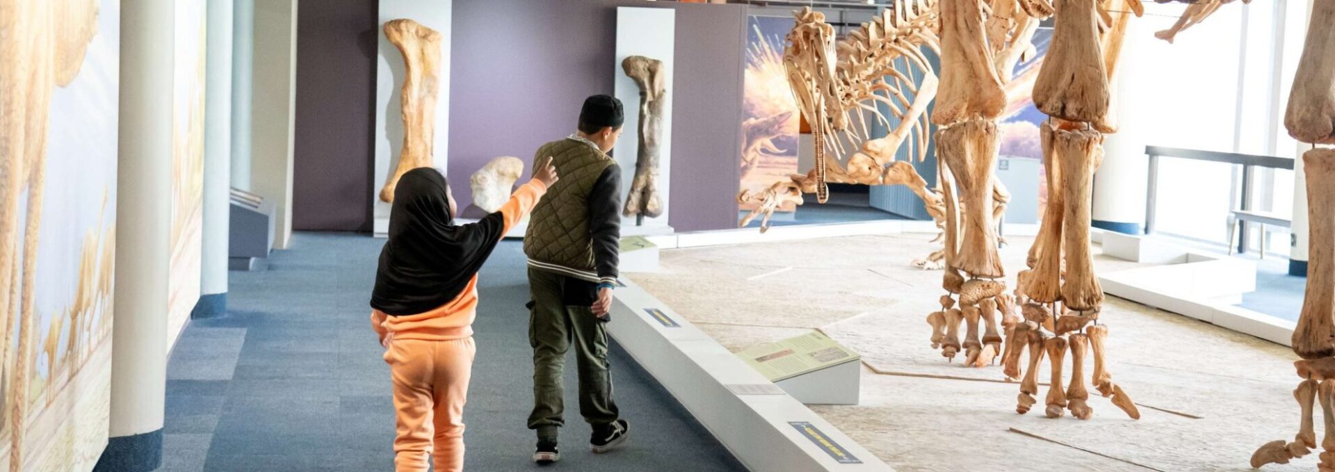 museums in cape town
