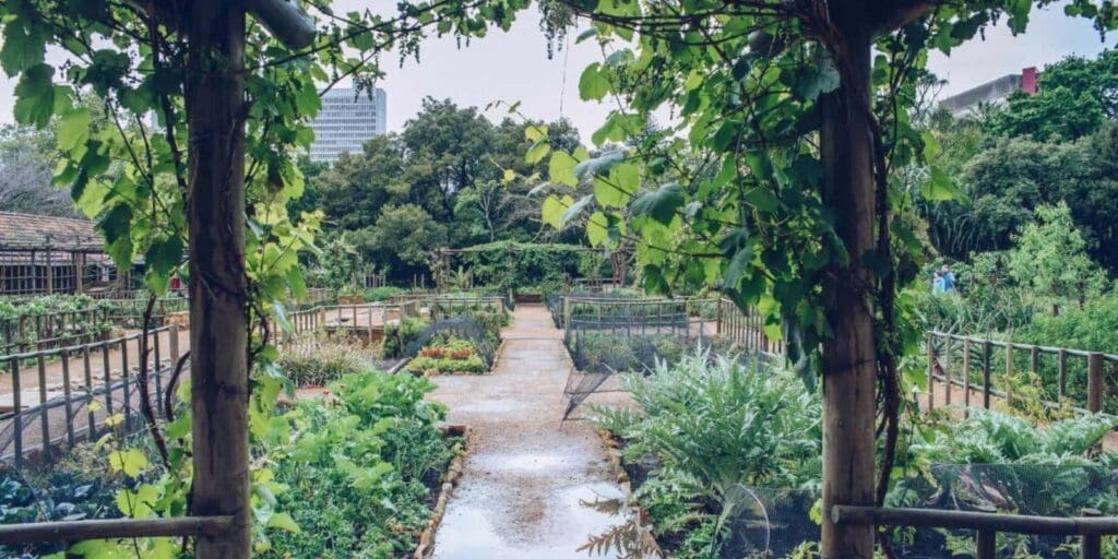 Companys garden