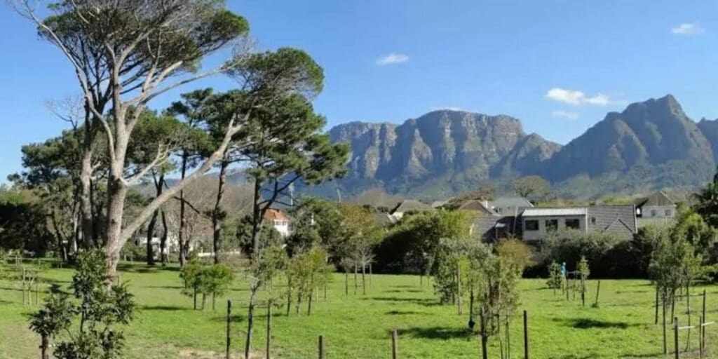 KEURBOOM PARK 