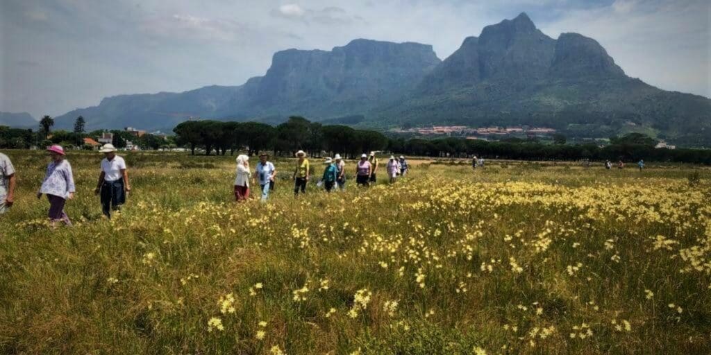 Public Parks: Rondebosch Common