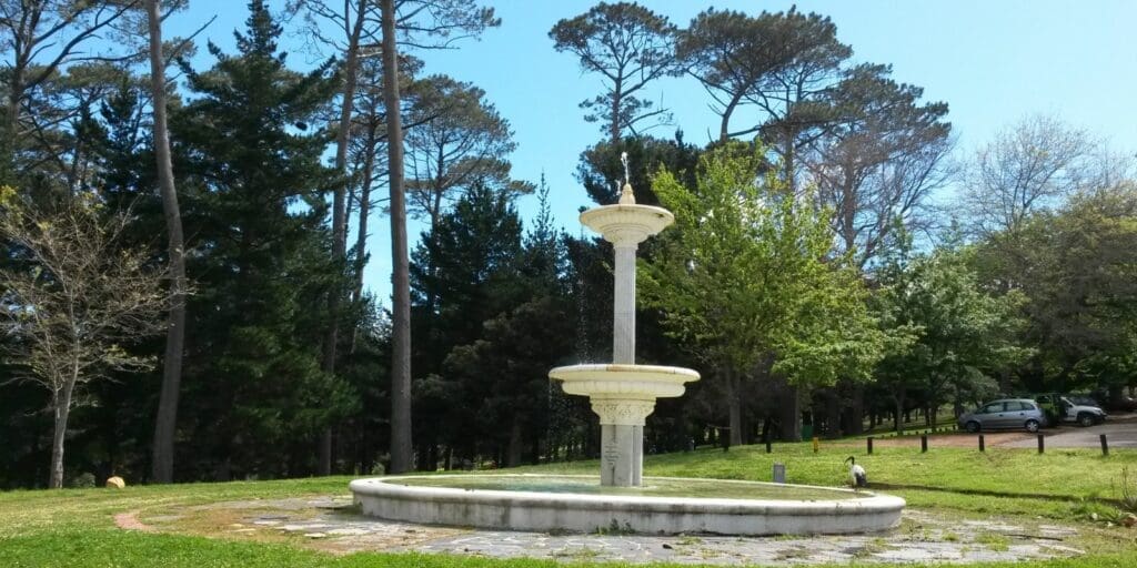 Wynberg park