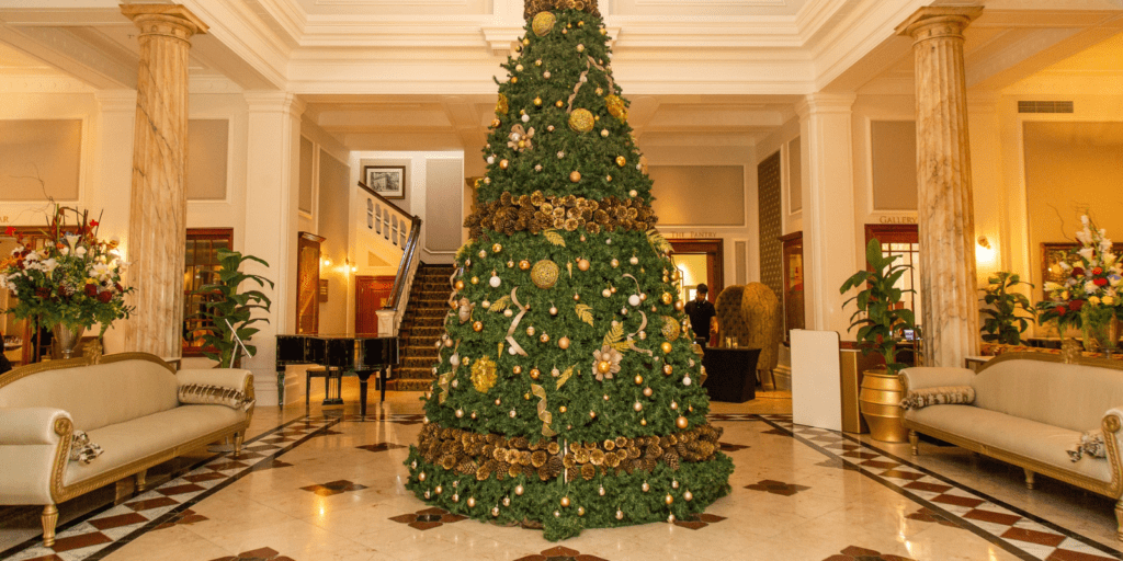 Taj festive