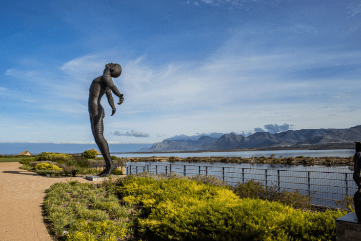 Benguela Cove