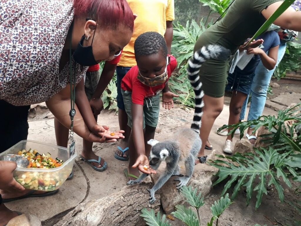 Exotic Animal World