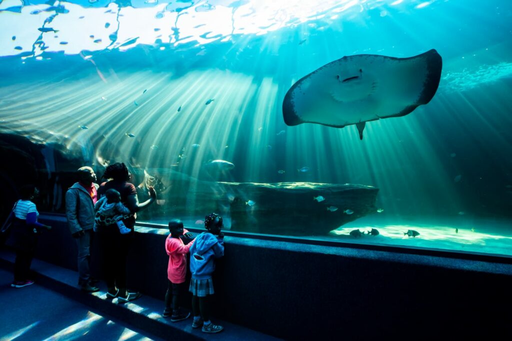 Two Oceans Aquarium