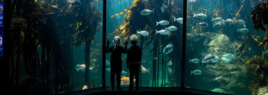Two Oceans Aquarium