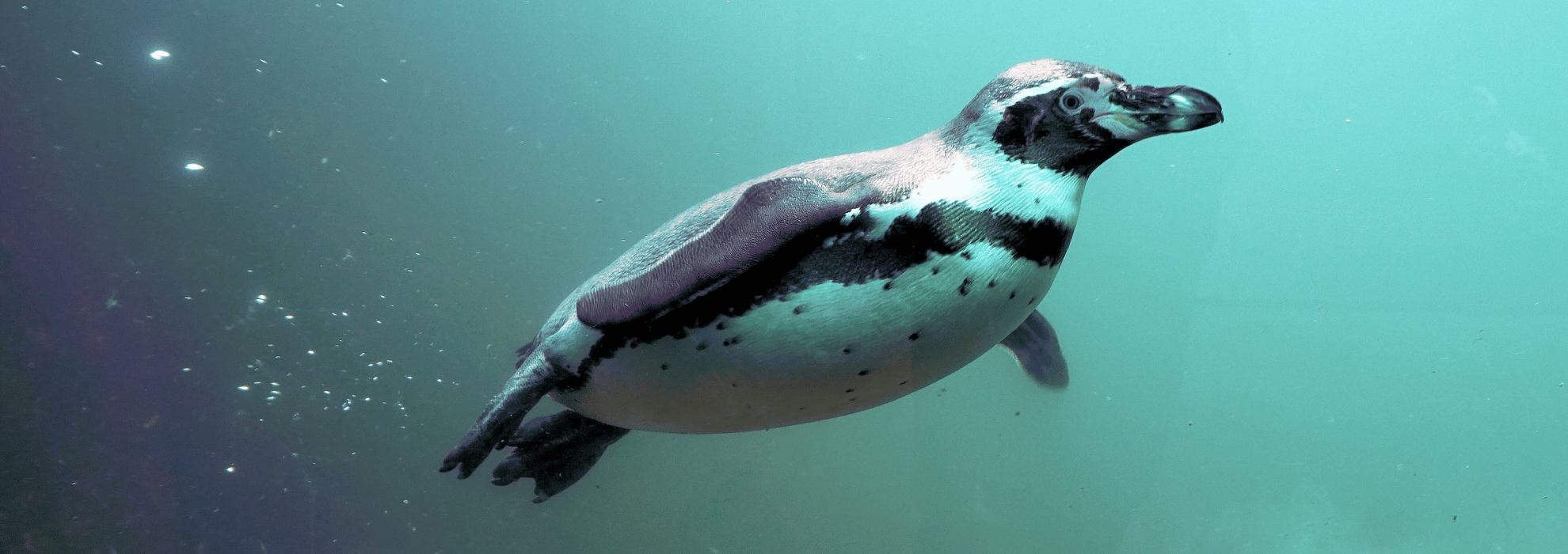 Community Projects What s On In Cape Town