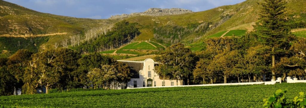 Wine Harvest Commemorative Event