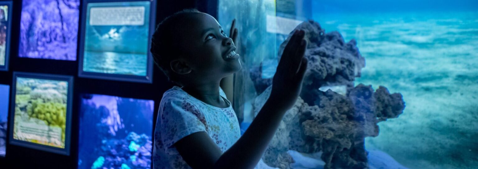 two oceans aquarium featured