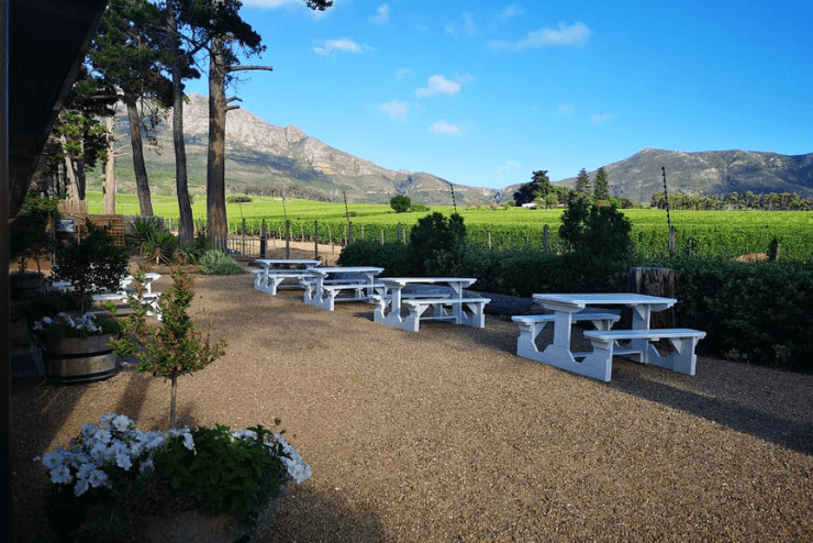 St. Patrick’s Day Irish event in Cape Town