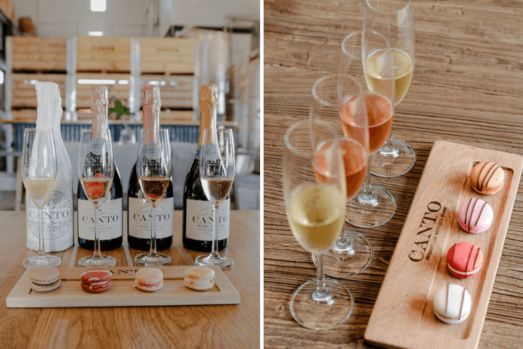Canto Wines wine tastings | What's on in Cape Town