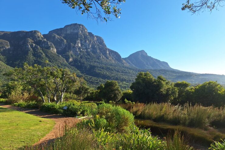 Kirstenbosch Gardens 3