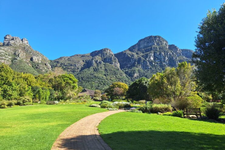 Kirstenbosch Gardens 1