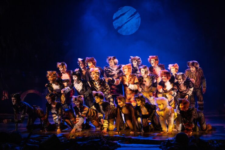 CATS The Musical