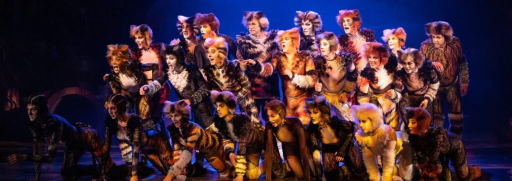 CATS the Musical (1)