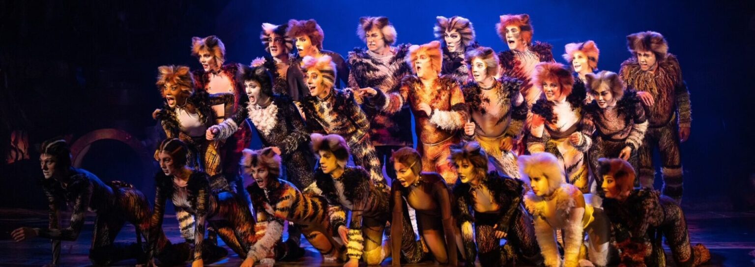 CATS the Musical (1)