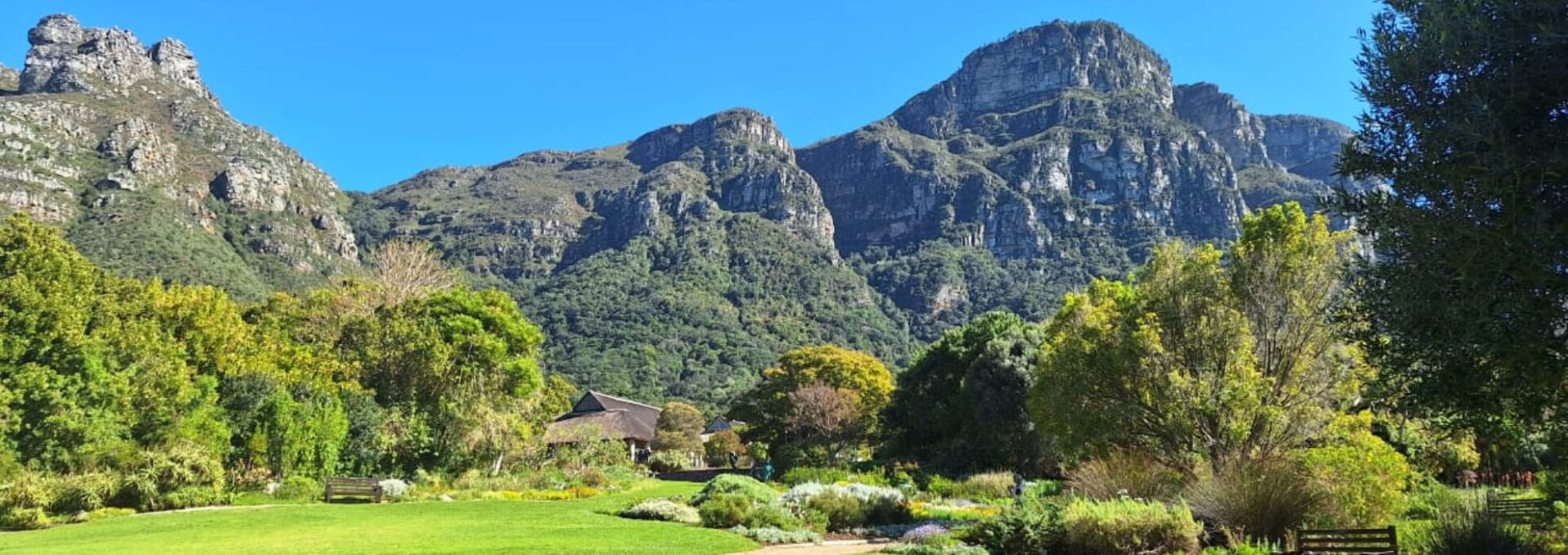 Kirstenbosch Gardens Featured