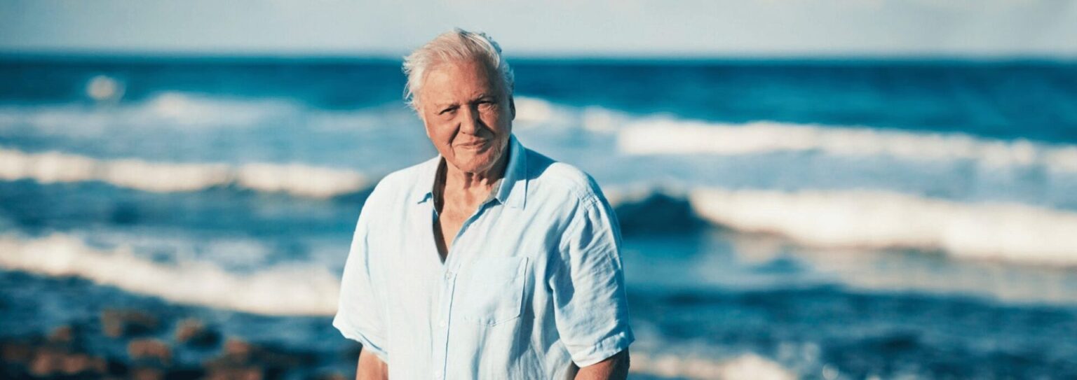 david attenborough