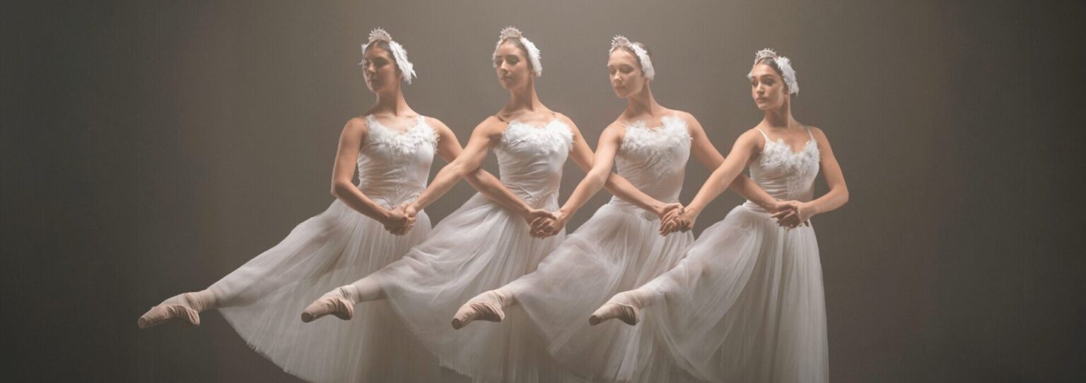 swan lake