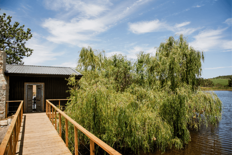 VUUR Restaurant | What's on in Cape Town