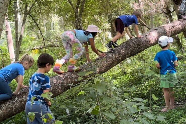 Nature Plays Winter Holiday programme 2