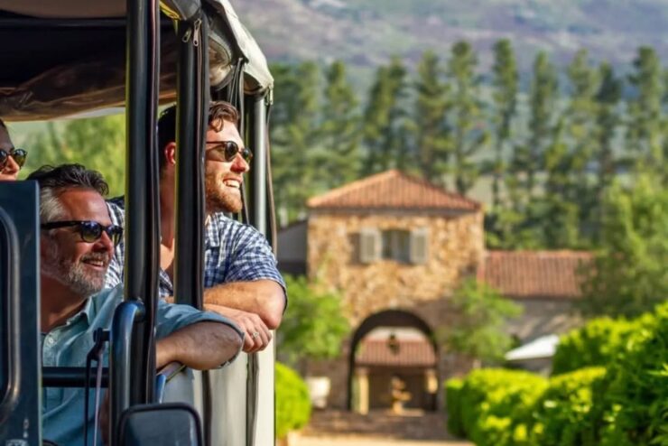 stellenbosch wine festival 3